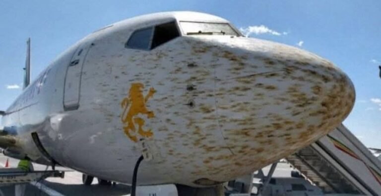 Boeing 737 Hits Massive Locust Swarm, Pilots Perform Emergency Diversion
