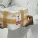 When hope boards an Air India flight: Helping deliver the gift of sight